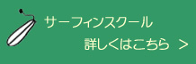 サーフィンスクール 詳しくはコチラ ＞